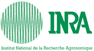 INRA